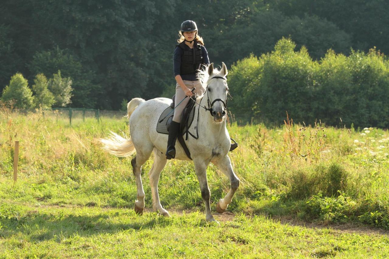 Willa Marianna Lądek-Zdrój Extérieur photo